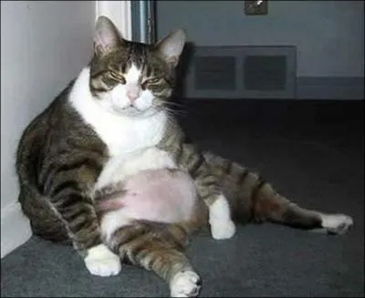 C'est ' vilain' ... .