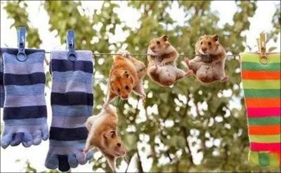 C'est bien ... . humain mais pas assez !