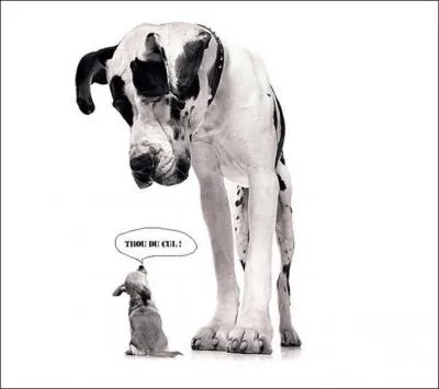 C'est bien ... . humain mais pas assez !