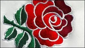 Connaissez-vous l'expression anglaise pour 'Ne pas savoir o donner de la tte' ?