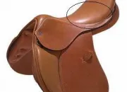 Quiz Rvisions Galop 2