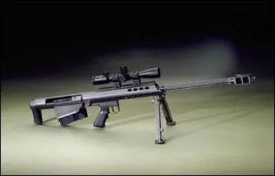 Quel est le nom de cette arme ?