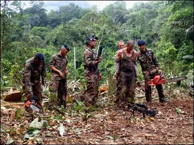 Les monts ' Tumuc-Humac 'sont :
