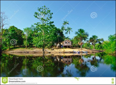 Le fleuve Amazone passe en Guyane !