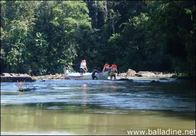 L'Approuague est un fleuve frontalier de Guyane !