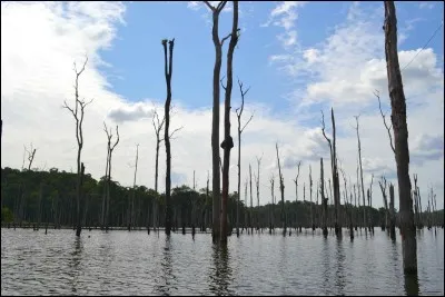 Le barrage de 'Petit Saut 'est le plus grand lac de retenue de France !