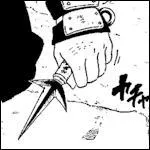 A qui appartient cette arme ?