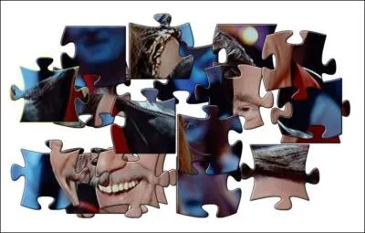 Une star de la chanson :