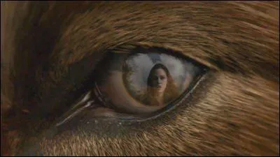 A qui appartient ce regard ?