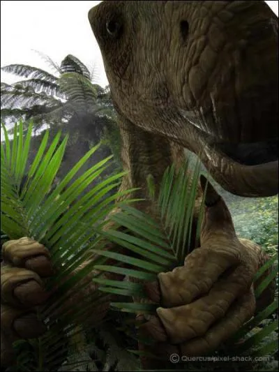 Et, finalement, quel est le nom de celui-ci ?