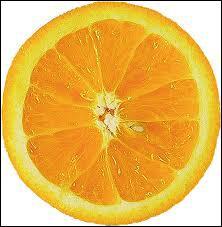 Quel est le nom de cette orange sans ppin ?