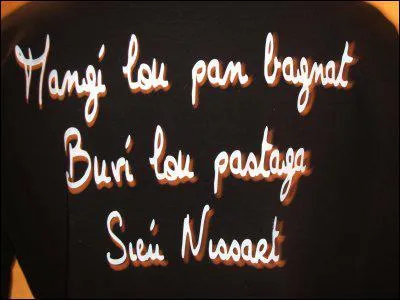 Nice a une langue personnelle (mais non officielle); comment s'appelle cette langue ?