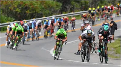 Dans le milieu du cyclisme, un coureur qui ''suce la roue'' désigne quelqu'un qui...