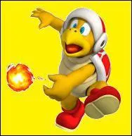 Citez tous les objets inefficaces contre ces ennemis dans NSMBWII.