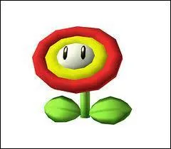 Il s'agit d'une fleur de feu, un objet trs rcurrant de la srie. Dans quel jeu ne le trouve-t-on pas ?