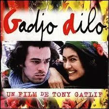 Qu'est ce qu'un Gadjo ?