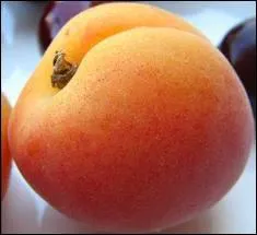 Quel est ce fruit ?