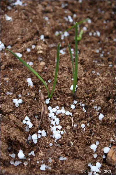 Quel mois de l'année est le plus souvent associé aux giboulées ?