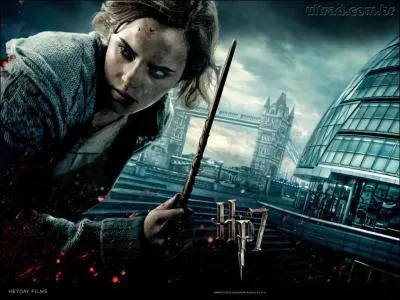 17 ans plus tard, Hermione s'est marie avec ...