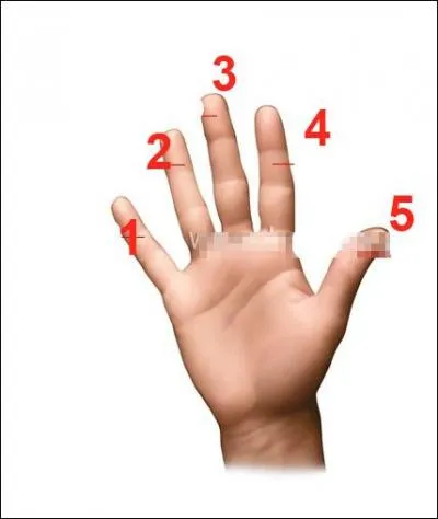 Le toucher : o est le majeur ?