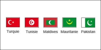 Quel motif est commun aux drapeaux mauritanien, maldivien, pakistanais et turc ?