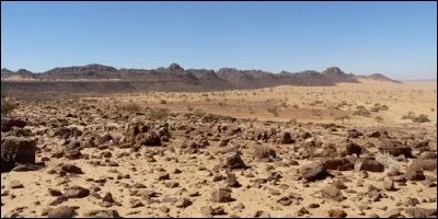 On sait que l'erg désigne une étendue de dunes, mais comment appelle-t-on, avec ces mêmes lettres, une étendue désertique formée de cailloux ?