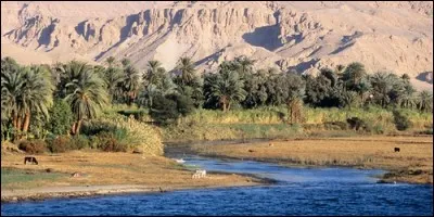 Quel fleuve mesure environ 6 500 km ?