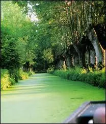 Comment sont appels les canaux principaux qui sillonnent le marais ?