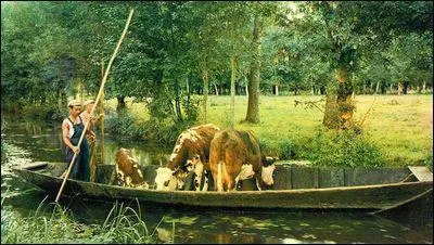 Comment se nomme l'embarcation servant de transport dans ce marais ?