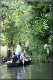 Comment s'appelle le bton qui, piqu dans le fond de l'eau, sert  avancer ?