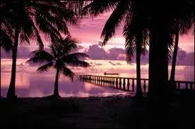 Qui chantait Chain of Fools ?