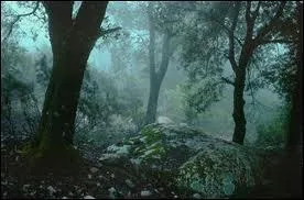 Quel est l'interprte de la chanson dans laquelle on peut entendre 'adoss  un chne lige, je descendais quelques arpges' ?