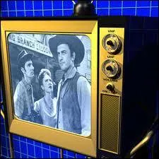 Quand la premire chane devint-elle TF1 ?