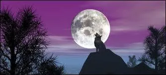 Quel est l'interprte de la chanson dans laquelle on peut entendre' Et qu' l'appel du loup tu brises enfin tes chanes' ?