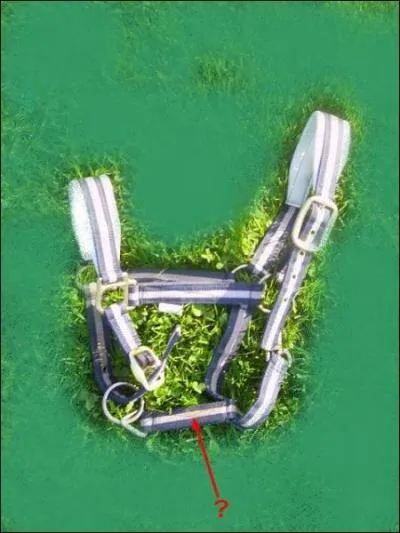 Quelle est cette partie ?