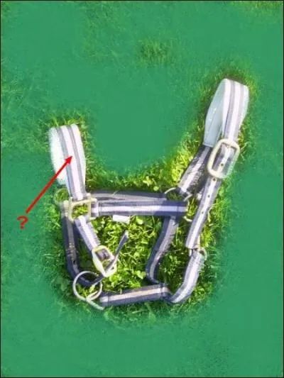 Quelle est cette partie ?