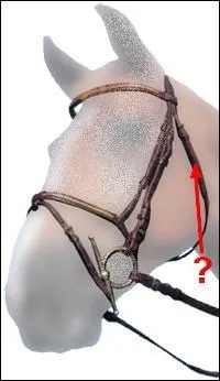 Quelle est cette partie ?