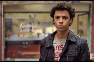 Raphal est souponn d'avoir vol et brl le drapeau national. Que risque t-il ?