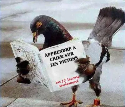 A quoi sert ce livre ?