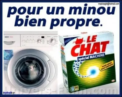 De quelle marque s'agit-il ?