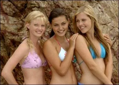 Combien y-a-t-il de sirnes au total ?