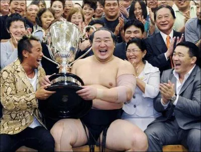 Quel est le rang le plus lev pour un lutteur de sum, rang correspondant  'champion suprme' ?