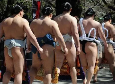 Y a-t-il des catgories de poids au sum ?