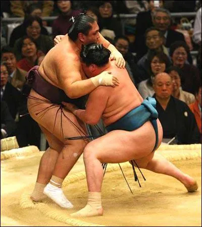 Combien de combats mne un sum au cours d'un tournoi ?