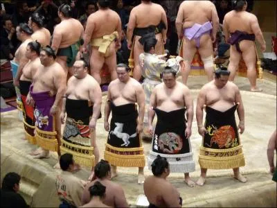 Combien y a-t-il de tournois annuels de sum au Japon ?