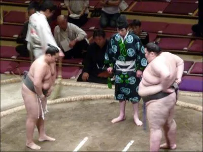 Comment fait un lutteur pour progresser dans le classement ?