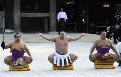 Voici des grands prix spciaux attribus  des lutteurs qui se sont distingus parmi un tournoi. Lequel de ces prix n'existe pas ?