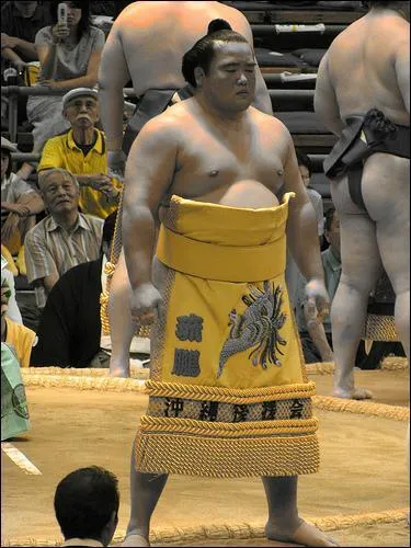 Combien y a-t-il aujourd'hui de lutteurs de sum professionnels au Japon ?