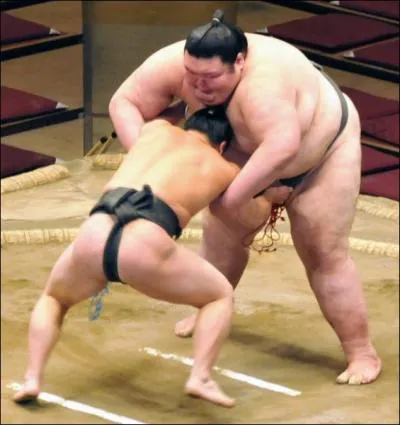 Les kimarite sont toutes les techniques que le lutteur peut utiliser pendant le combat. Combien y en a-t-il ?