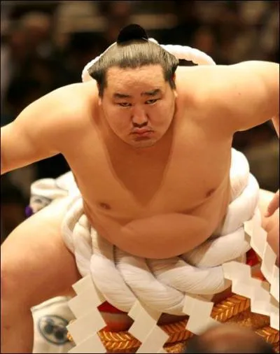 Comment appelle-t-on au Japon un lutteur de sum professionnel ?